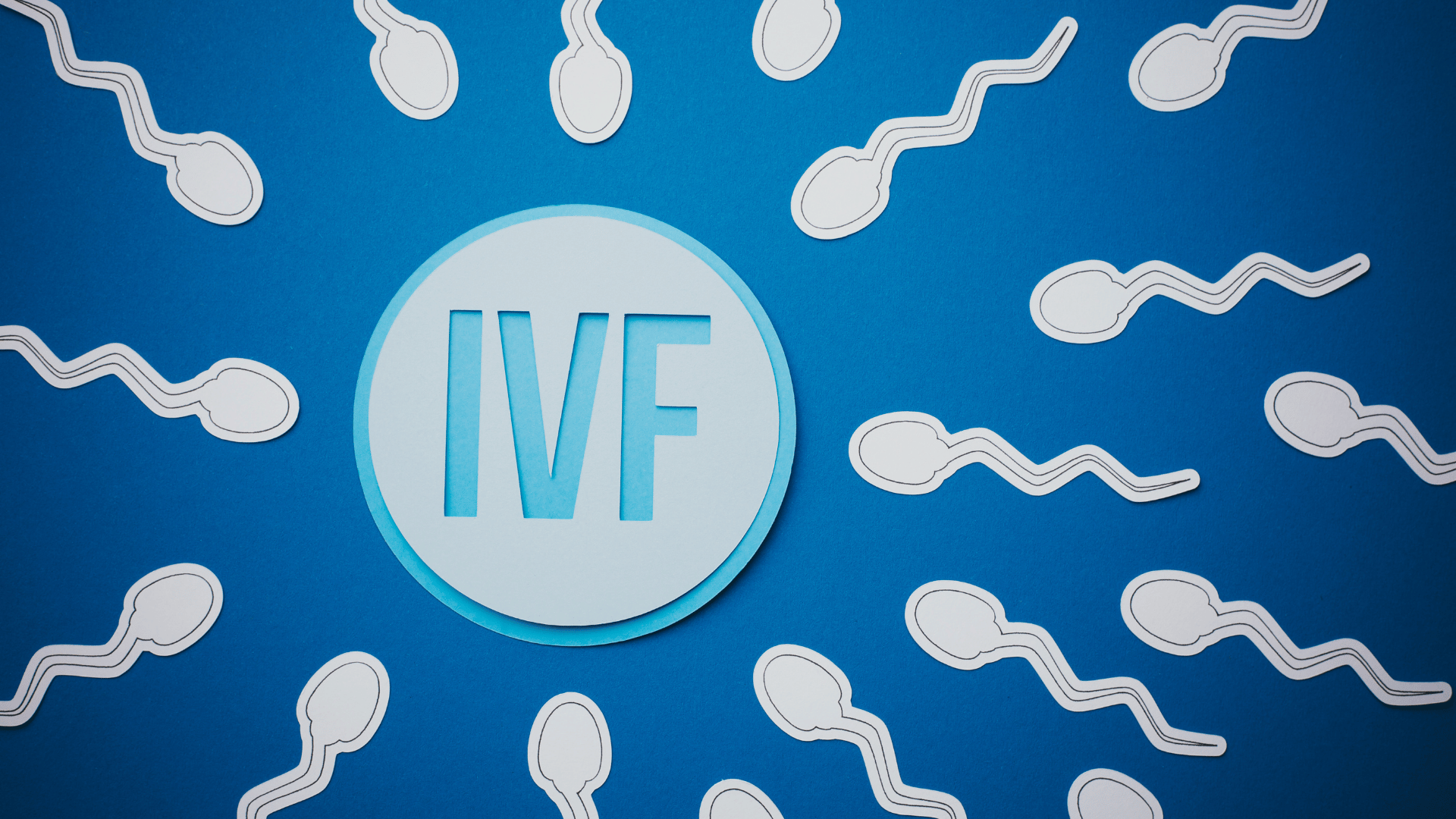 Tüp Bebek Tedavisi (IVF)